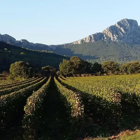 Entre Cevennes Et Mediterranee Cazilhac (Herault)